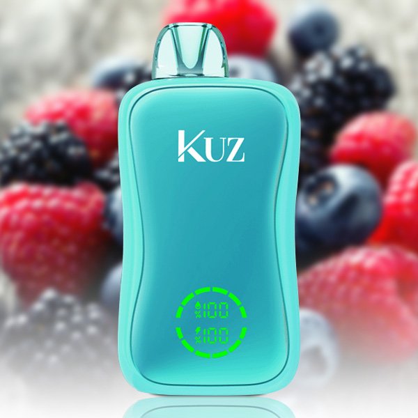 kuz flow 25000 puffs blue raz slushie.jpg