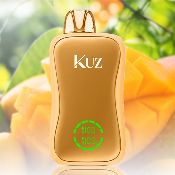 kuz flow 25000 puffs mango slushie.jpg